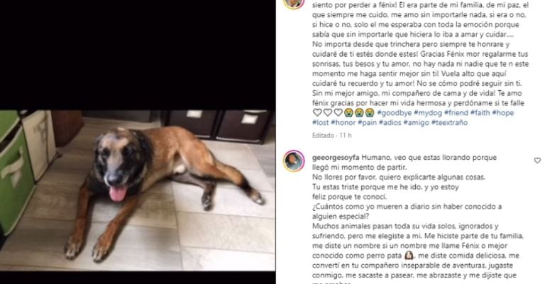 Federica Quijano se despide de su compañero de vida devastada