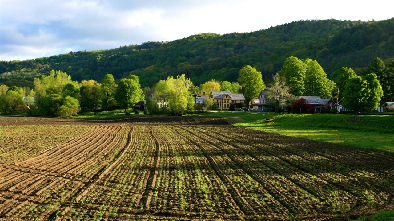 Denuncian falta de presupuesto al campo