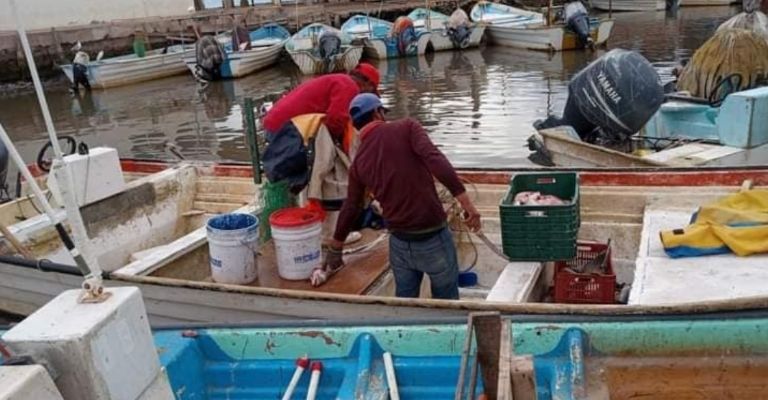 Rescatan a marineros en inmediaciones de Bahía de Lobos