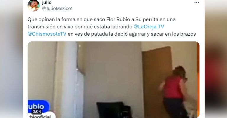 Flor Rubio es acusada de patear a su perrito en transmisión en vivo