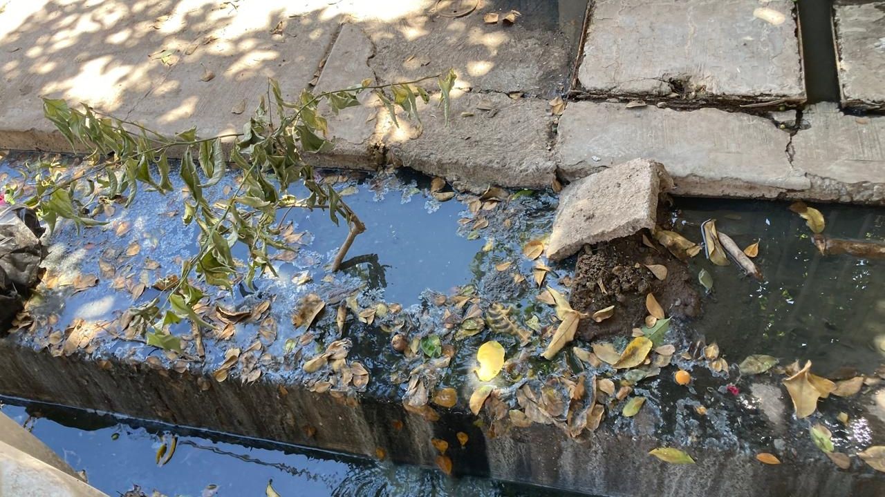 Sonora: En la Prados de la Laguna sufren por los drenajes colapsados