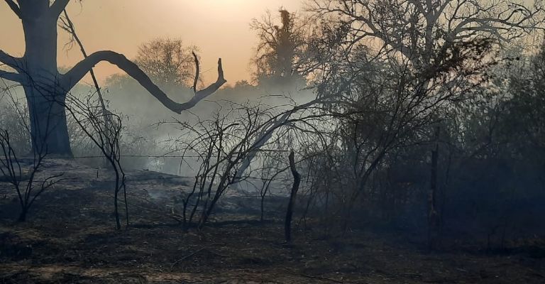 Flora y fauna del Río Mayo resultaron afectadas