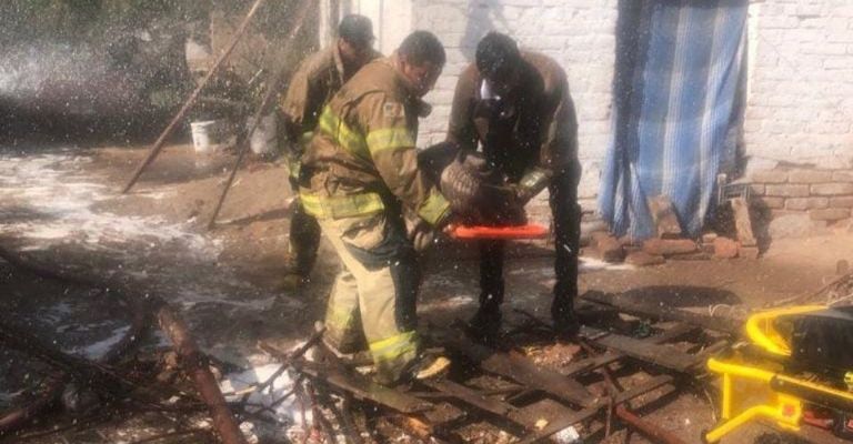 El Departamento de Bomberos ha registrado hasta 80 salidas por ataques de abejas en el último mes