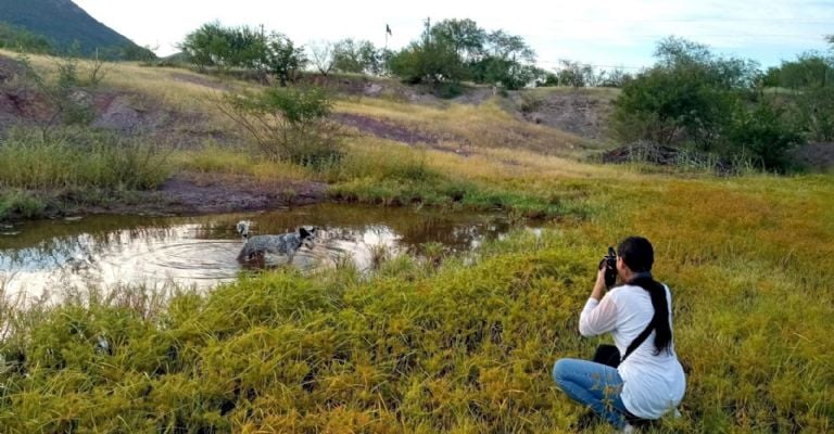 Abigail comenzó a fotografiar los paisajes de su natal Jusibampo