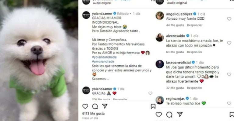 Yolanda Andrade reaparece tras devastador luto y da trágica noticia