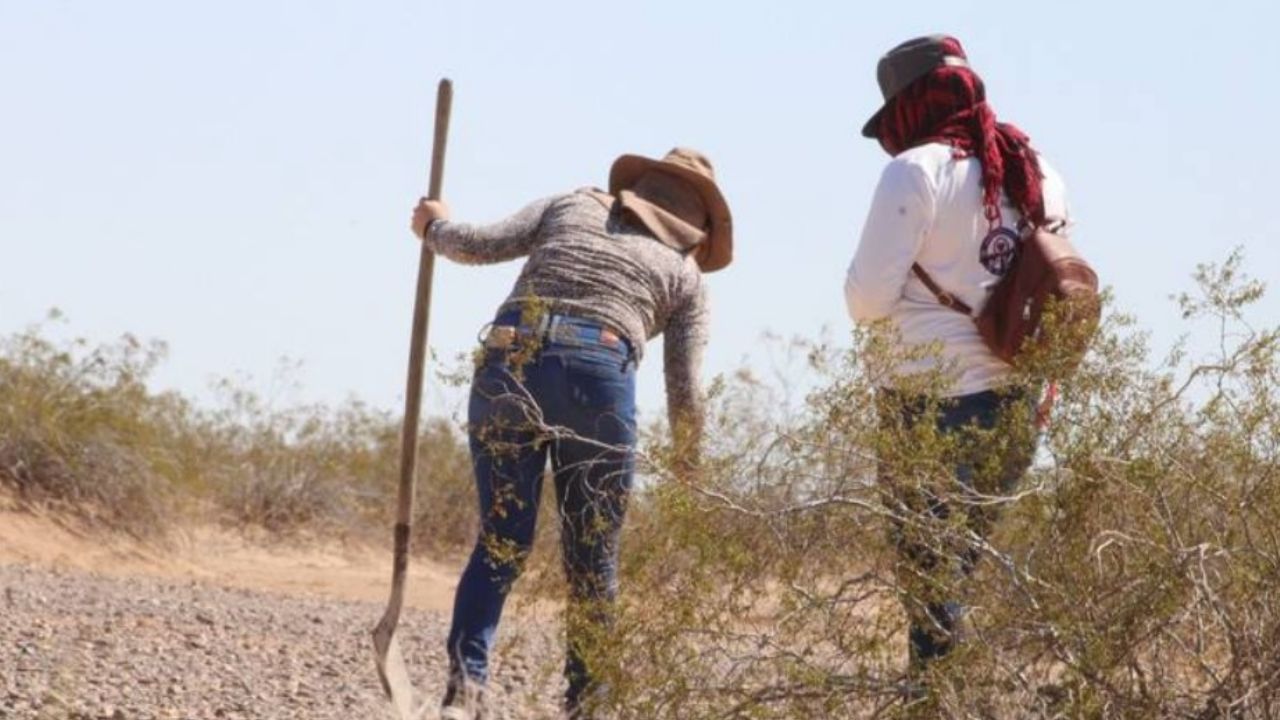 Colectivo encuentra restos óseos en camino de terracería en Playas del Colorado, Sonora
