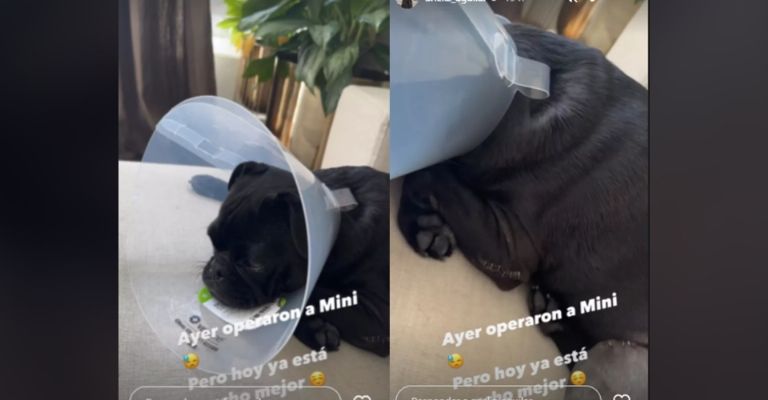 Hija de Pepe Aguilar confiesa que la favorita de la familia fue hospitalizada y operada