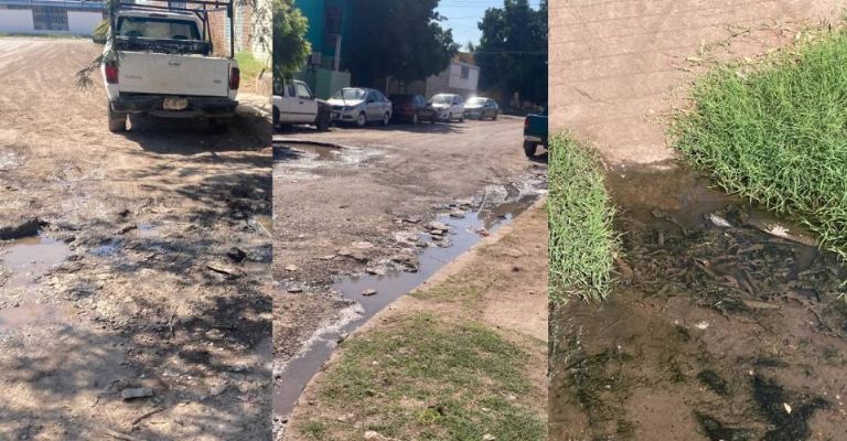 En varios puntos de la colonia Jardines del Valle se percibían los drenajes colapsados