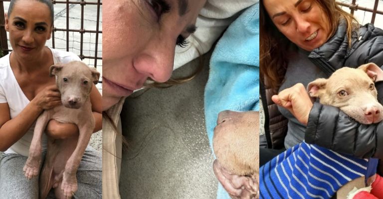 Consuelo Duval experimenta dolorosa muerte y Televisa llora su perdida