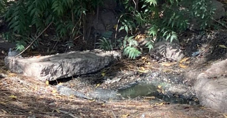 Algunas daños en la zona.