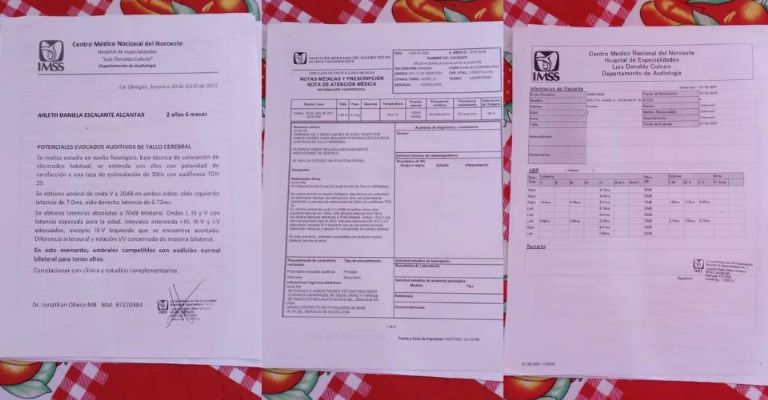 Documentos de los estudios médicos.