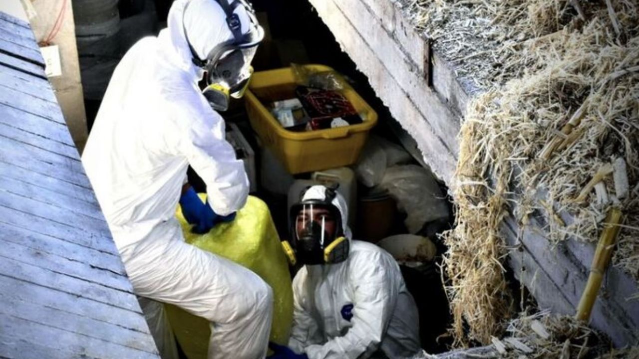 Desmantelan narcolaboratorio ‘enterrado’ en Navolato; pertenecería al Cártel de Sinaloa