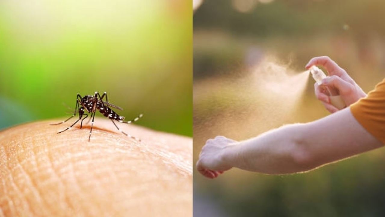 Casos de dengue se disparan en un 155% durante el último mes en Navojoa