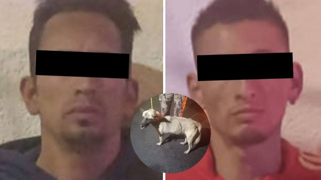 Vinculan a dos por amarrar a perritos en una moto y arrastrarlos en la Álvaro Obregón