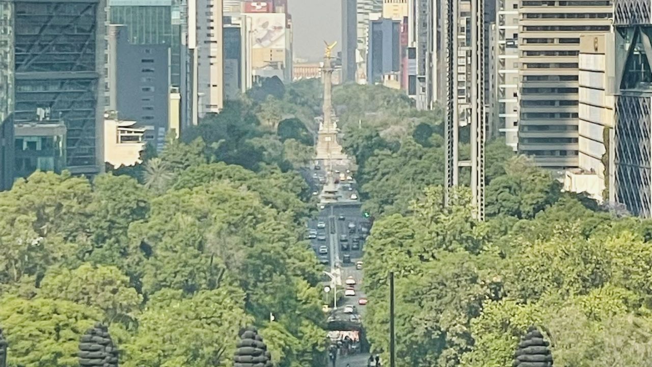 Clima en CDMX hoy 19 de noviembre: Conagua en alerta por bajas temperaturas