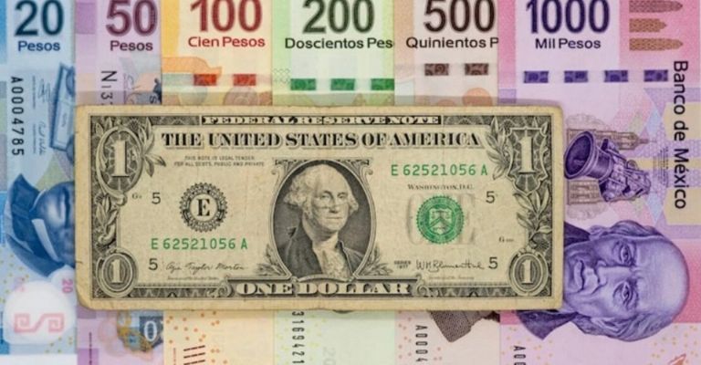 Precio del dólar de este 14 de diciembre del 2024