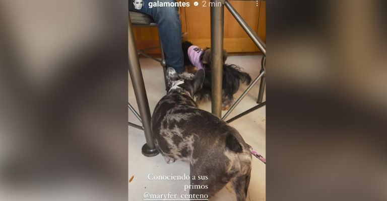 Maryfer Centeno así reaparece después de reportarse desaparecida tras amenazas