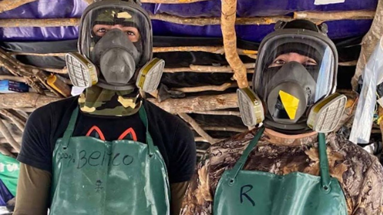 Así es como los cárteles prueban la potencia del fentanilo en animales y personas vulnerables