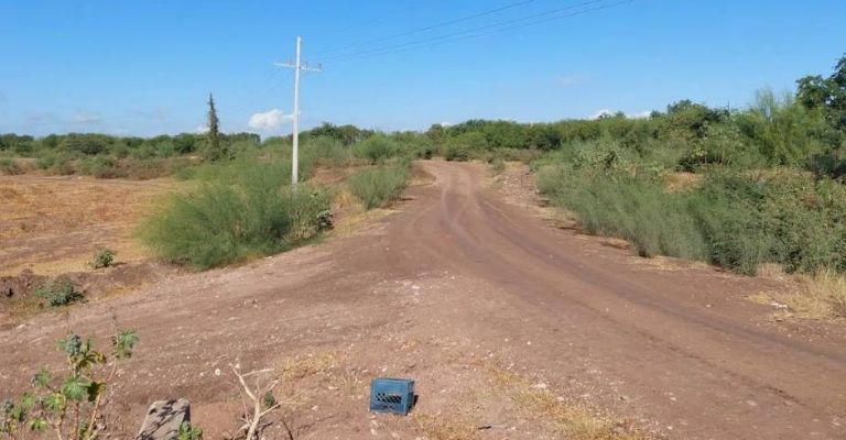 El cuerpo estaba cubierto en plástico negro y encintado con cinta canela