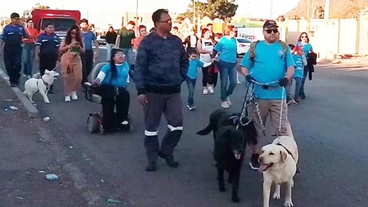 Por los derechos de los animales realizarán marcha en Guaymas; invitan a participar