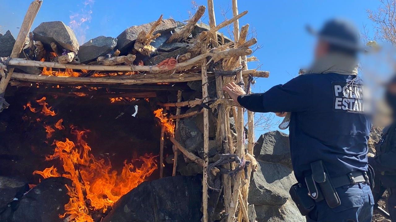 Destruyen campamentos de grupos delictivos en la frontera de Sonora con EU