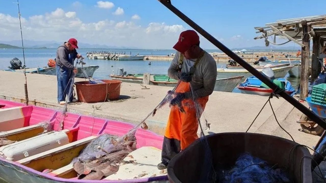Pescadores colgarán las redes para ofrecer paseos turísticos en bahía de Guaymas