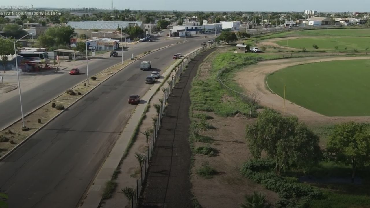 ‘Acción Verde’ busca crear el primer bosque urbano en Navojoa
