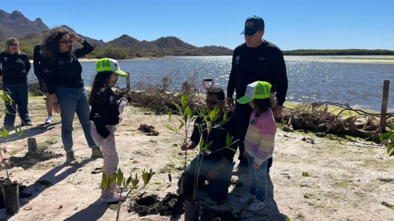 Promueven conservación de manglares en el estero ‘El Soldado’ de Guaymas