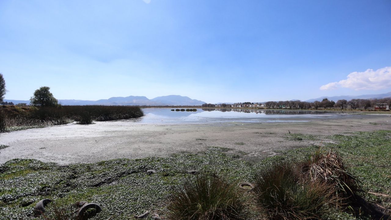 Sequía en México: ¿Se acerca el Día Cero? Estos son los estados más afectados