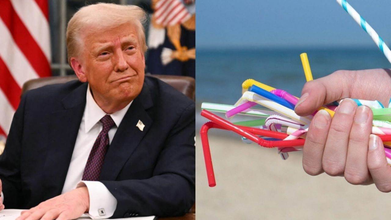 Donald Trump firma polémica orden para retomar el uso de los popotes de plástico en EU