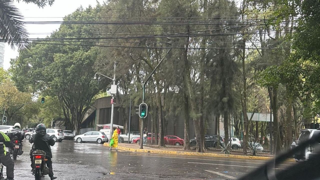 Clima en CDMX 12 de febrero: Se esperan altas temperaturas ¿A qué hora lloverá Hoy?