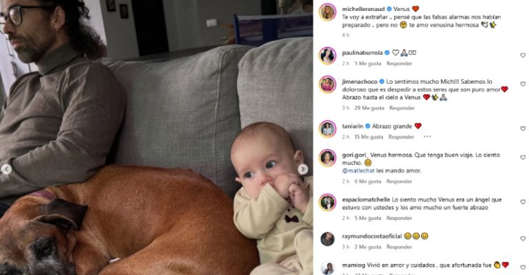 Michelle Renaud sufre dolorosa muerte inesperada y Matías Novoa llora su partida