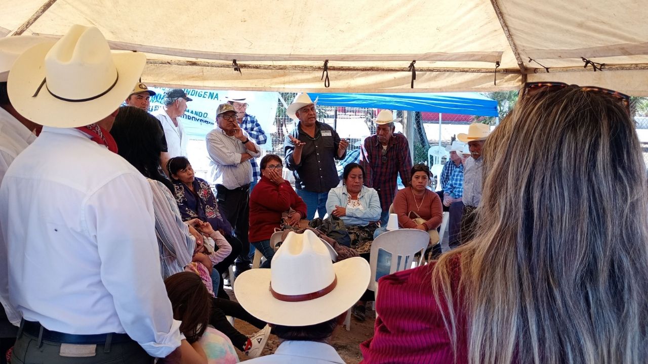 Mayos exigen al INPI que reconozca a más gobernadores duales