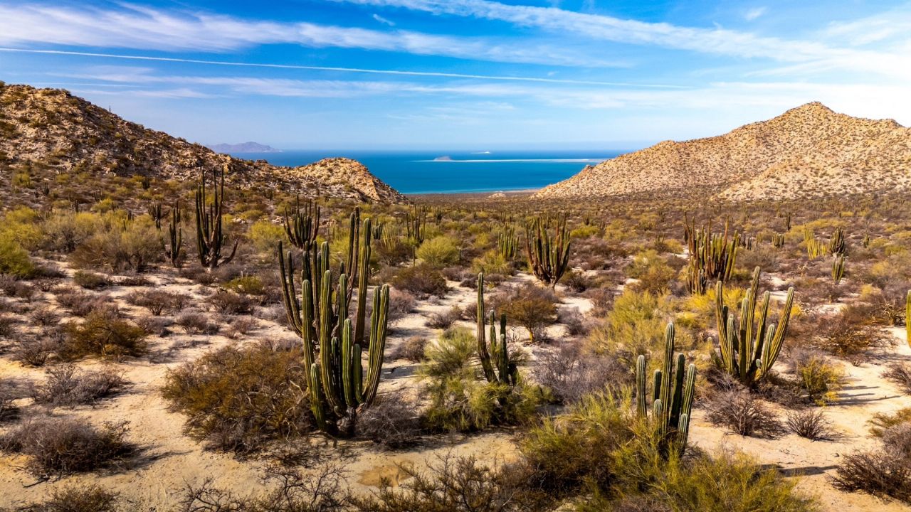 Ola de calor azotará Sonora: Temperaturas podrían alcanzar los 40ºC
