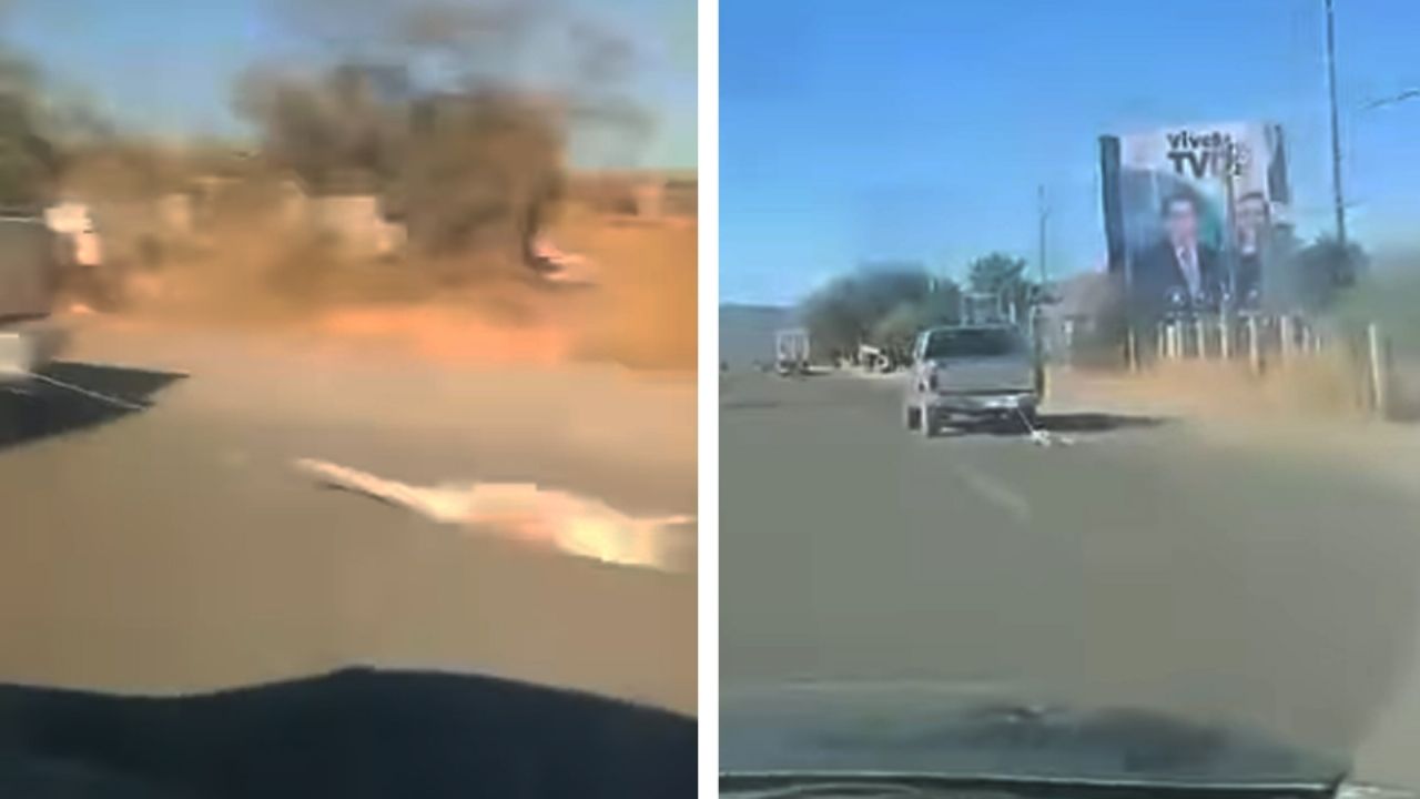 Crueldad animal en Hermosillo: Buscan a automovilista por amarrar y arrastrar a perra