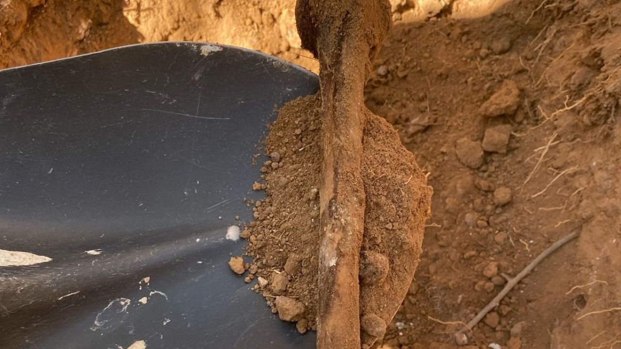 Hallan 6 fosas clandestinas en Hermosillo: Madres Buscadoras de Sonora continúan con rastreo