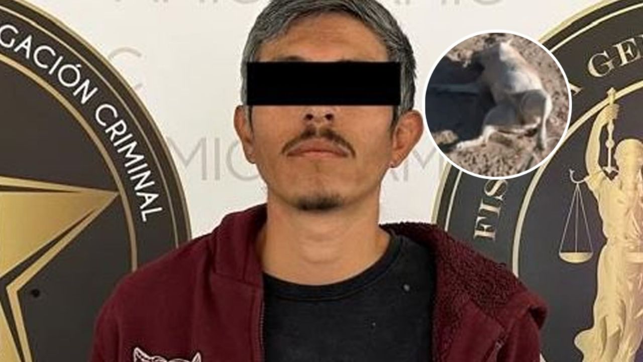 FUERTE VIDEO: AMIC detiene a sujeto que arrastró a perrita callejera en San Pedro El Saucito