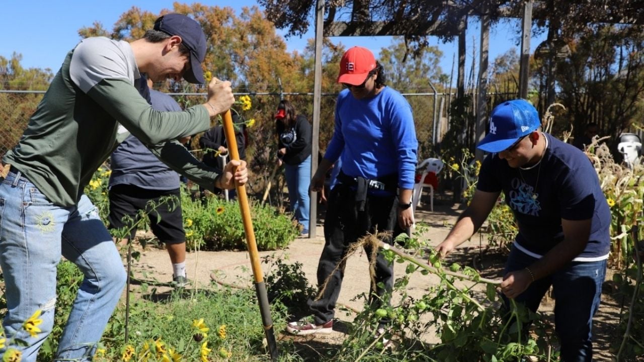 Huertos escolares implementan estudiantes de Cobach Empalme