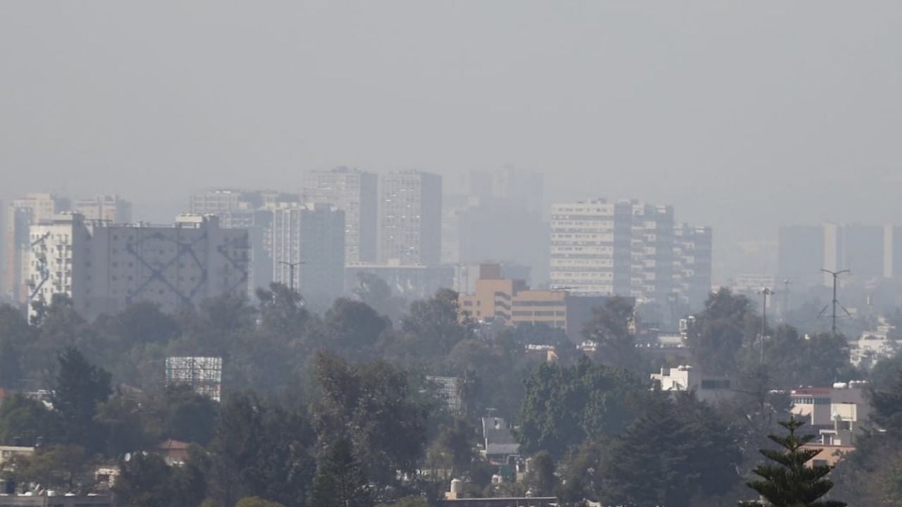 Continúa la Contingencia Ambiental en CDMX: ¿Habrá Doble Hoy No Circula el viernes 28 de febrero?