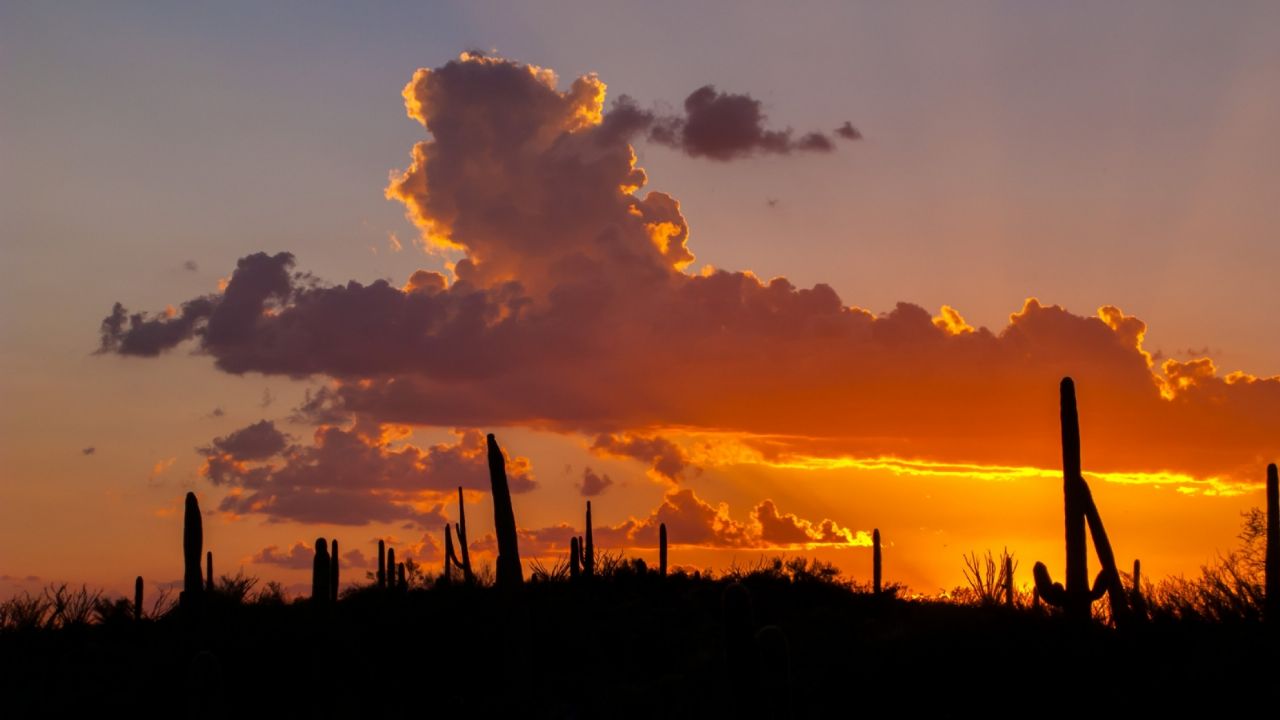 Clima en Sonora 01 de marzo: Llega nuevo frente frío; vientos y ola de calor