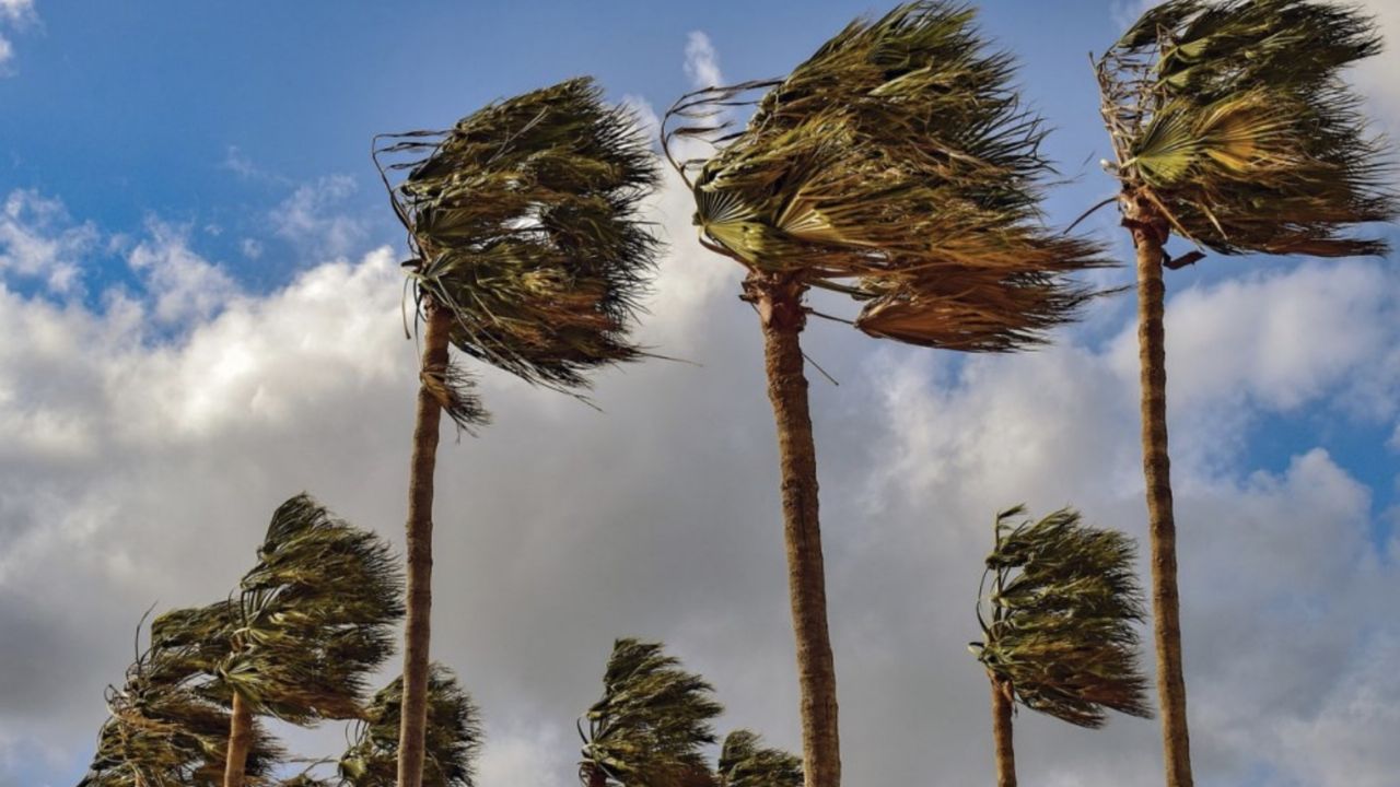 Clima en México 4 de marzo: ¿Lloverá hoy? Frente Frío provocará fuertes vientos; Conagua