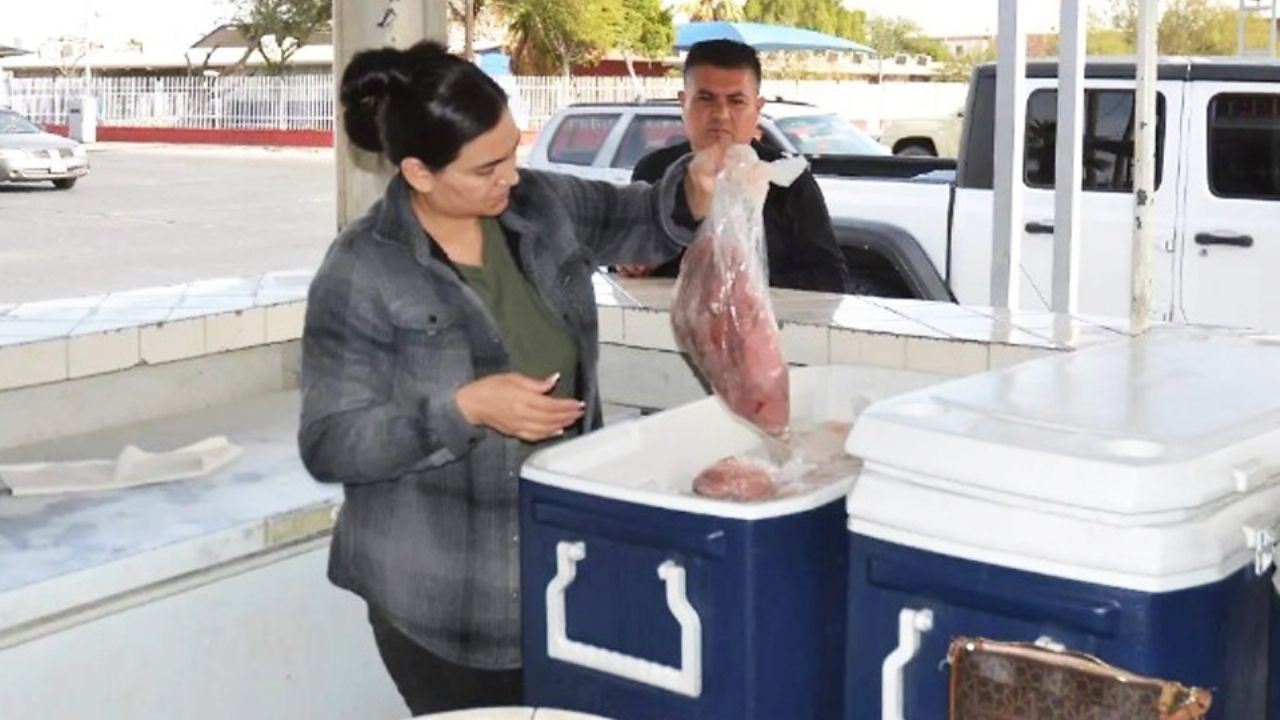 Vendedores de mariscos esperan repunte de ventas en cuaresma en Guaymas y Empalme