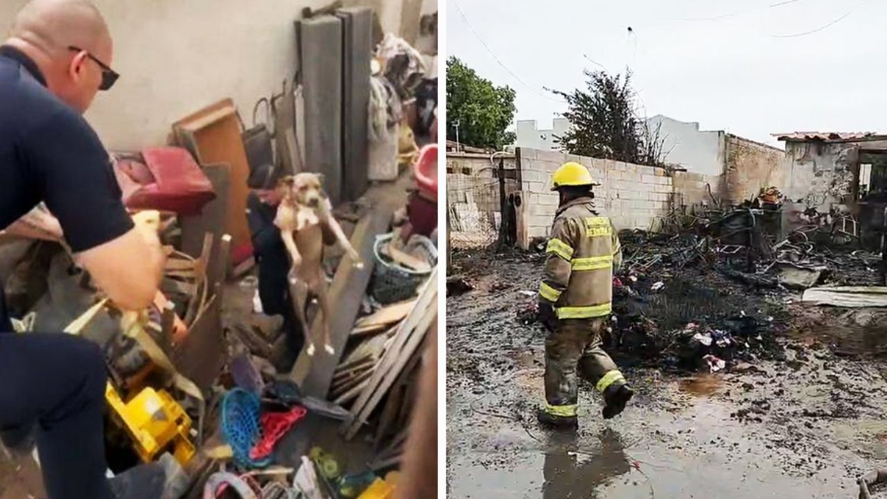 VIDEO: Heroico rescate en Hermosillo; Policías salvan a dos perritos de un incendio