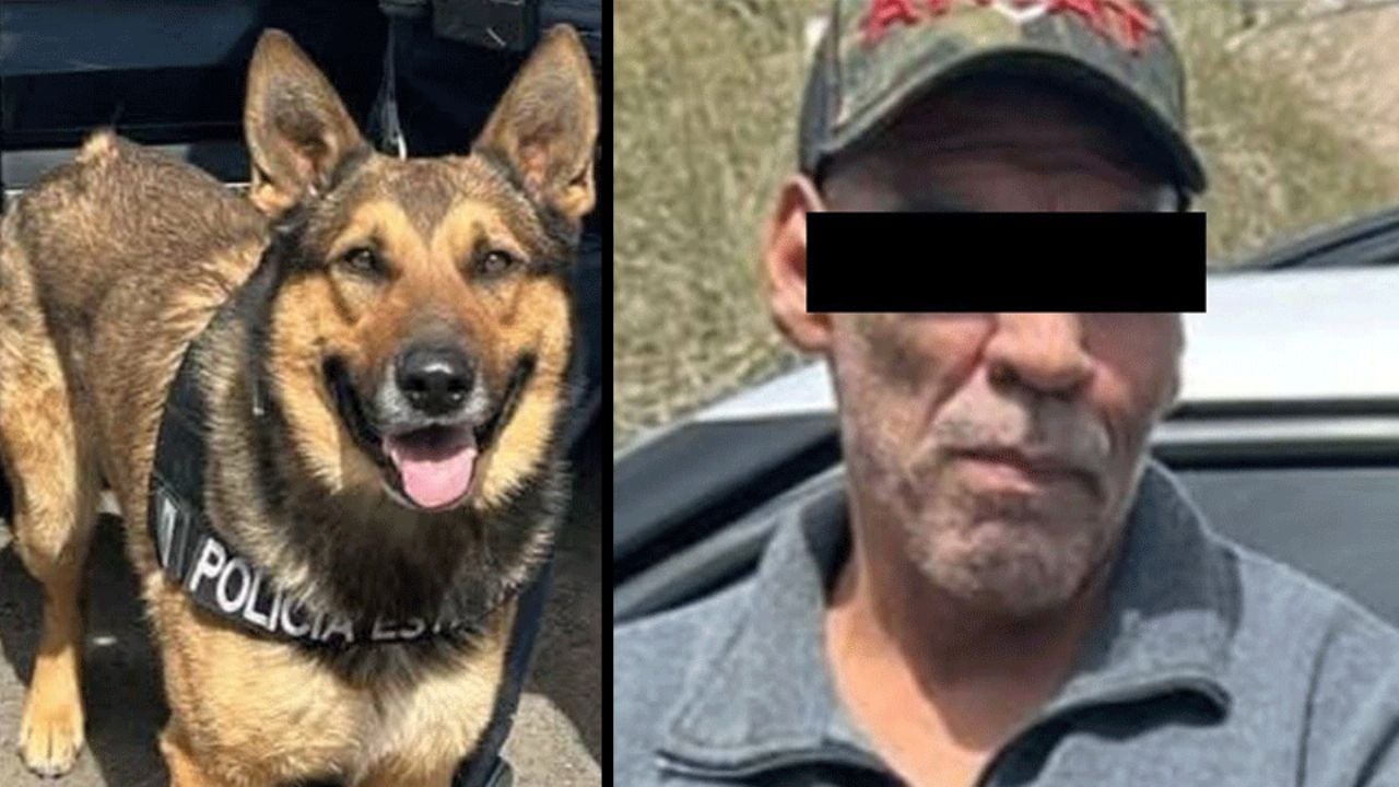 Hermosillo: Binomio canino detecta a sujeto con narcóticos en colonia Luis Echeverría