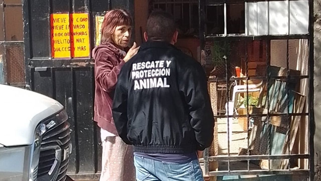 Fiscalía de Sonora investiga aparición de perros y gatos muertos al norte de Hermosillo