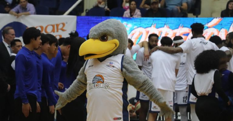 Halcones cae en casa