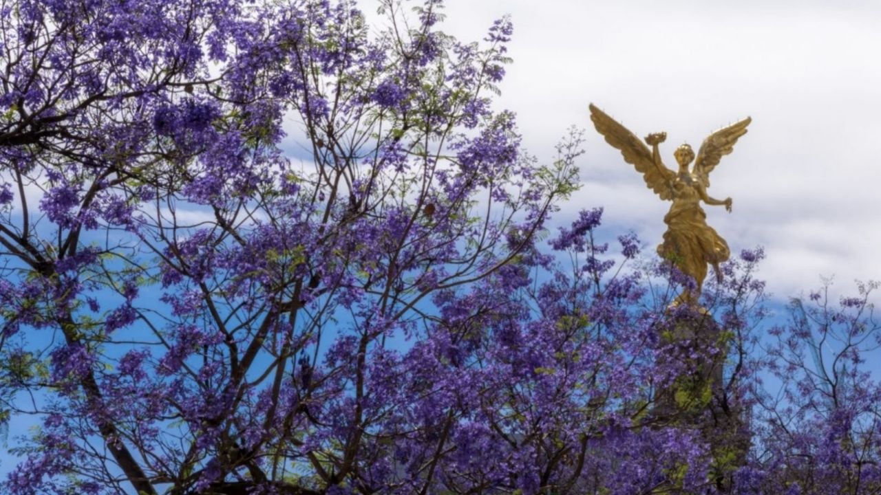 ¿Cuándo inicia la Primavera en México 2025? Te decimos todo lo que debes saber