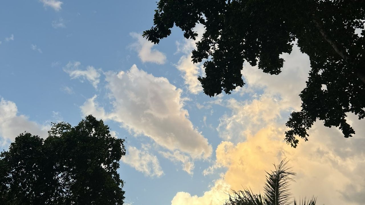 Clima Obregón HOY 16 de marzo: Advierten máximas de 34°C y poca probabilidad de lluvias