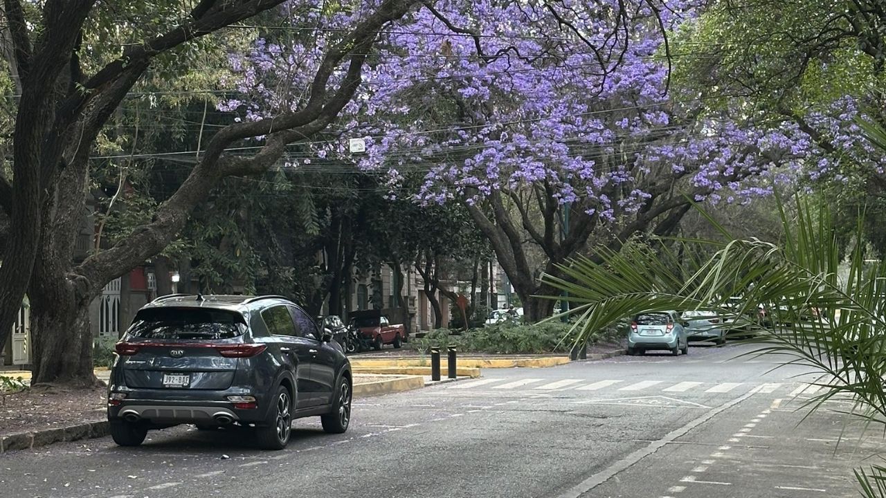 Clima en CDMX 19 de marzo: Se esperan altas temperaturas ¿A qué hora lloverá Hoy?