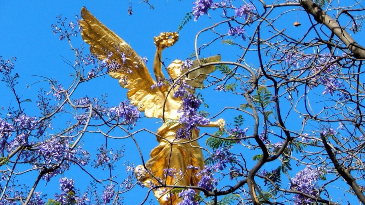 Día de la Primavera: Origen de la fecha y por qué se celebra el 21 de marzo